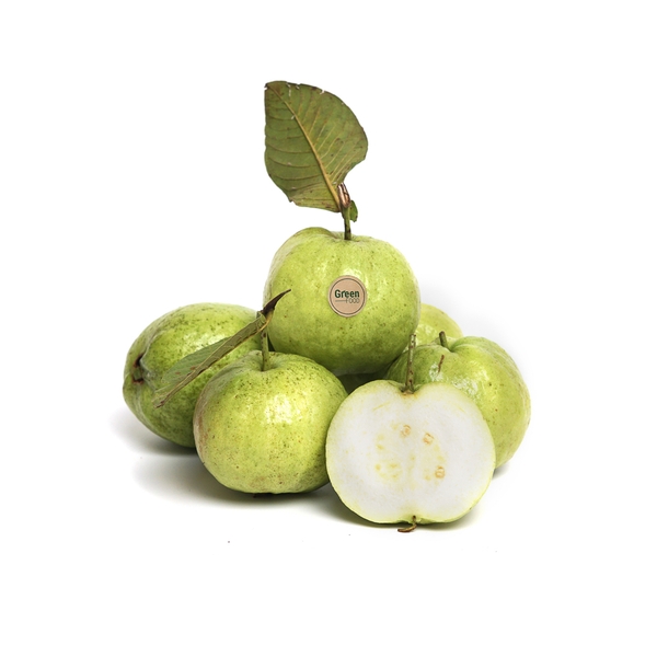Ổi Nữ Hoàng Cần Thơ
