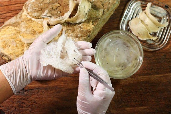 chế biến tổ yến đúng cách