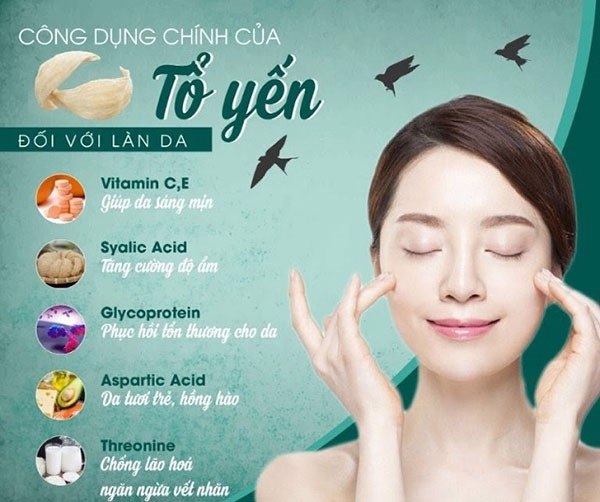 công dụng chính của tố yến