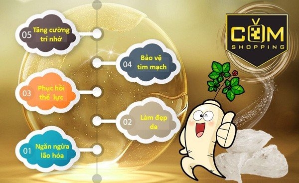 công dụng của yến sào nhân sâm