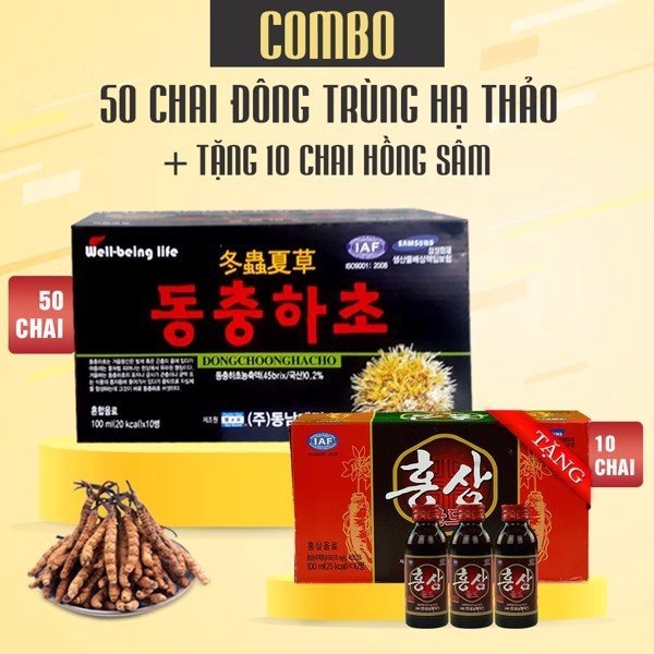 combo 50 chai đông trùng hạ thảo