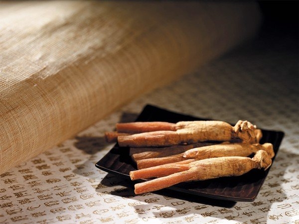 củ hồng sâm 6 năm tuổi