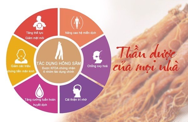 tác dụng của hồng sâm