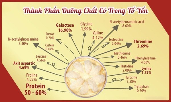 thành phần dinh dưỡng yến sào