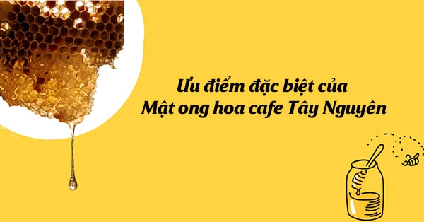 ưu điểm mật ong hoa cafe