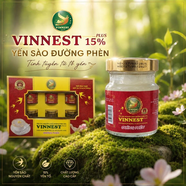VINNEST PLUS - Yến sào đường phèn 40% sợi yến