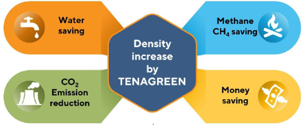 ĐỘT PHÁ CÔNG NGHỆ PLASTICISER: TỐI ƯU CHI PHÍ VÀ HIỆN THỰC HÓA MỤC TIÊU ...