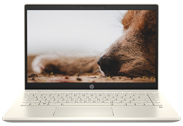 laptop-hp-pavilion-14-dv0534tu-wty-4p5g3pa