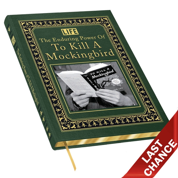the-enduring-power-of-to-kill-a-mockingbird