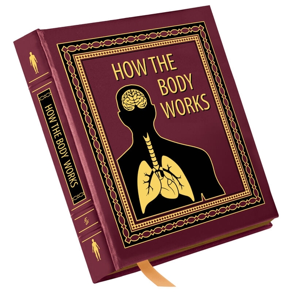 how-the-body-works