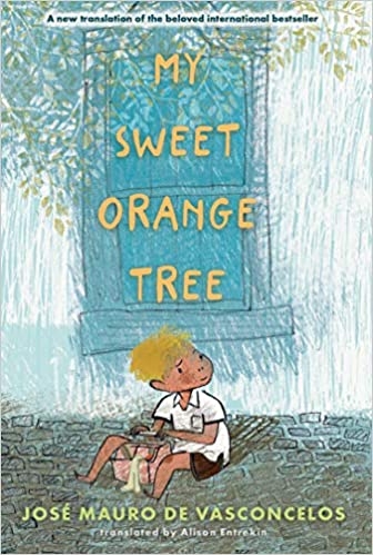 my-sweet-orange-tree
