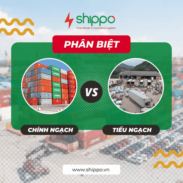  NÊN NHẬP HÀNG CHÍNH NGẠCH HAY TIỂU NGẠCH? [brandname] 