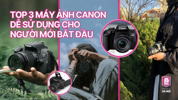 TOP 3 MÁY ẢNH CANON DỄ SỬ DỤNG CHO NGƯỜI MỚI BẮT ĐẦU