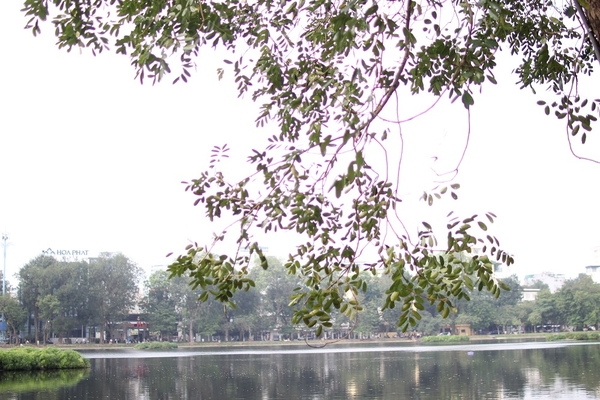 Quang sai màu trong nhiếp ảnh