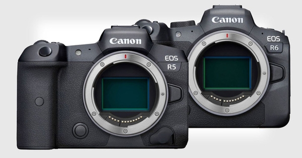 Bộ đôi Mirrorless mạnh mẽ nhất nhà Canon: EOS R5 và EOS R6