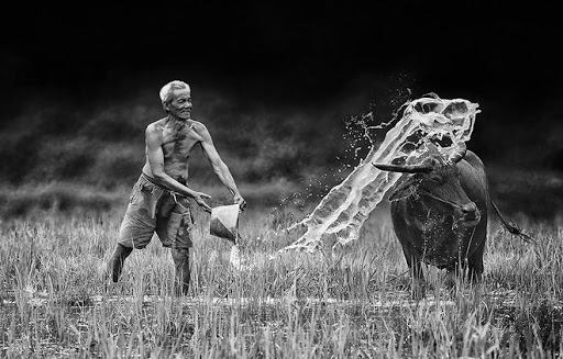 Những bức ảnh đen trắng tuyệt đẹp