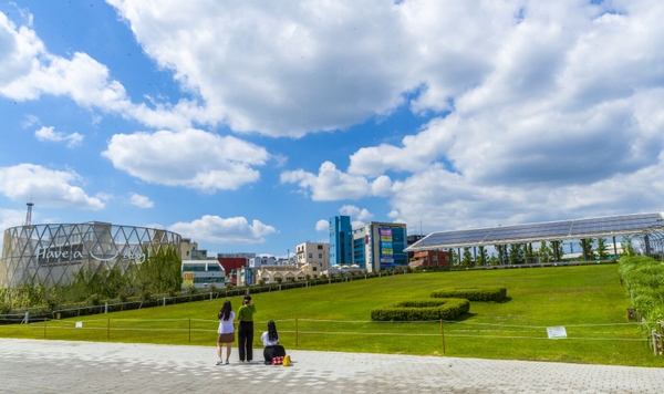 Canon 1Dx Mark II + Lens Canon EF 24-70mm F2.8L II USM 