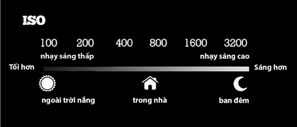 ISO là gì trong máy ảnh