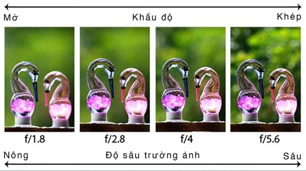 Cách đọc thông số ống kính cũ: Hiểu về tiêu cự và khẩu độ trong 5 phút.
