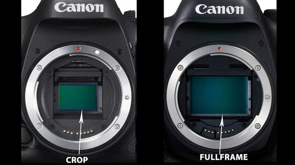 cảm biến Full-frame và APS-C