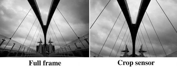 cảm biến Full-frame và APS-C