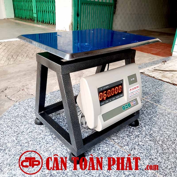 Cân ghế điện tử 60kg Yaohua A12E60G34 (Ảnh 2)