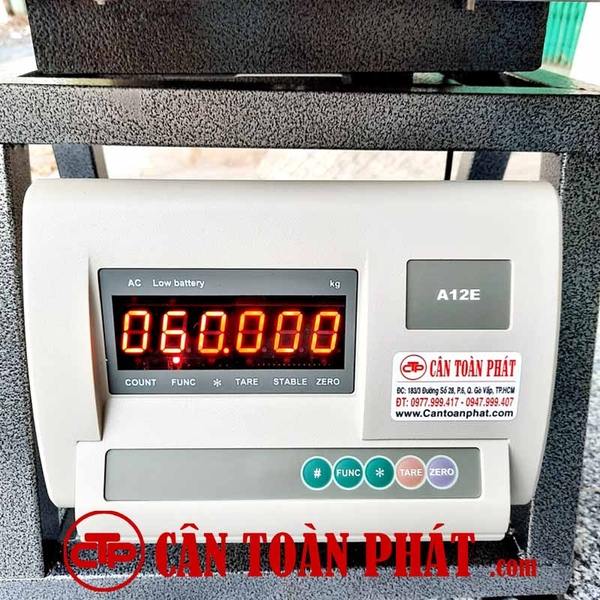 Cân ghế điện tử 60kg Yaohua A12E60G34 (Ảnh 1)