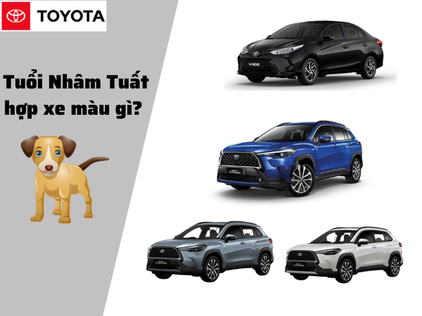 Tuổi Tuất 1982 Hợp Xe Màu Gì - Chọn Màu Xe Mang Lại May Mắn Và Thành Công
