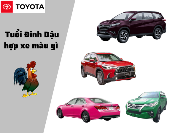 Tuổi Đinh Dậu Mua Xe Màu Gì - Lựa Chọn Màu Xe Hợp Phong Thủy Mang Lại Tài Lộc