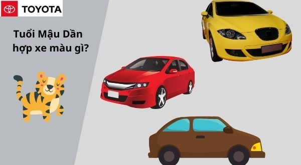 Tuổi dần hợp màu xe gì Tư vấn chọn xe cho tuổi dần Toyota Okayama Đà
