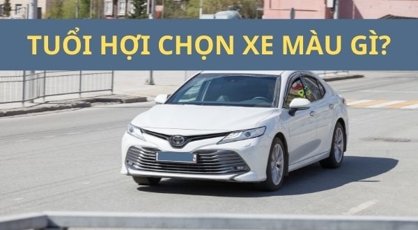 Tuổi hợi mua xe màu gì