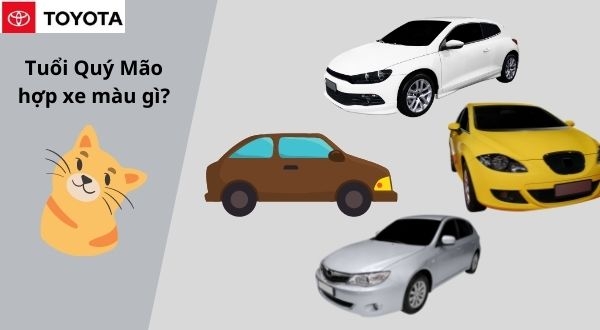Tuổi Mão hợp với xe màu gì – Lựa chọn màu sắc phong thủy mang lại may mắn và thành công