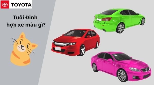 Tuổi mão mua xe màu gì hợp? Tư vấn chi tiết nhất | Toyota Okayama ...