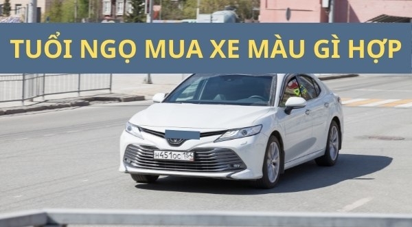 Tuổi ngọ mua xe màu gì thì Sức khỏe Vượng tài lộc tới | Toyota Okayama Đà Nẵng
