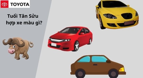Tuổi tân sửu mua xe màu gì?