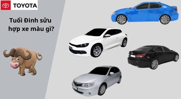 Tuổi đinh sửu mua xe màu gì?