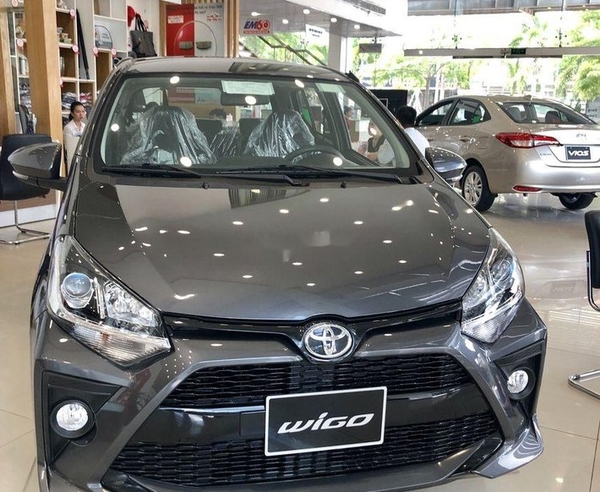 Người tuổi đinh sửu mua xe màu gì? Có thể mua Toyota Wigo màu xám