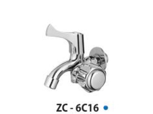 zico-cu-sen-6c16