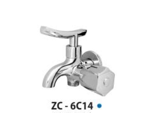 zico-cu-sen-6c14