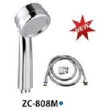 zico-day-sen-808m
