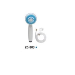zico-day-sen-803m