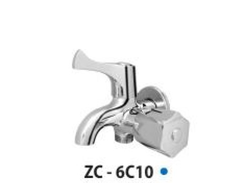 zico-cu-sen-6c10