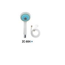 zico-day-sen-804