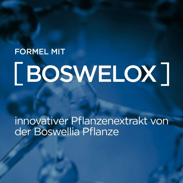 Kem dưỡng ẩm chống lão hóa nam giới L'Oral Men Expert Falten Stop Anti-Wrinkle Treatment for Men 50 ml