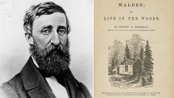 Walden Thoreau tròn 172 năm – vì sao cuốn sách về hai năm sống trong rừng vẫn chữa lành người đọc hôm nay