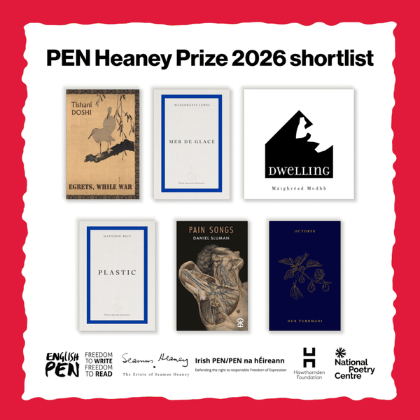 Giải PEN Heaney 2026 – nhà thơ sống cả một năm sau khung cửa sổ và bài học về cơn đau