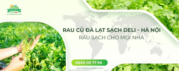 Rau Củ Đà Lạt Sạch DELI - Hà Nội