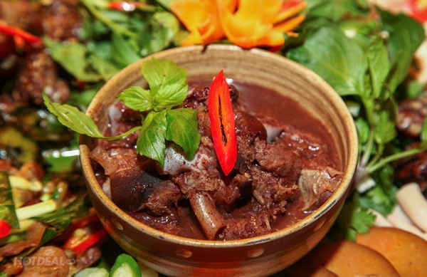 Nhím nấu nhựa mận