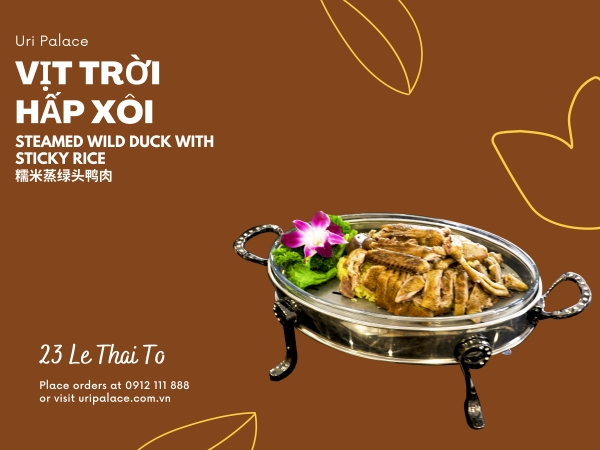 Vịt trời hấp xôi