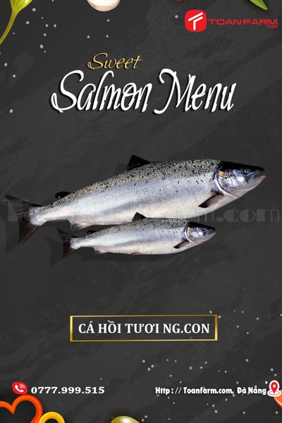 Cá Hồi Tươi Nguyên Con